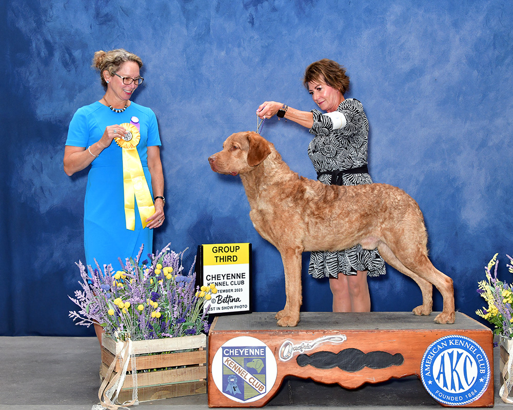 GCHB Ocotilla's Country Bumpkin RN TKN CGC