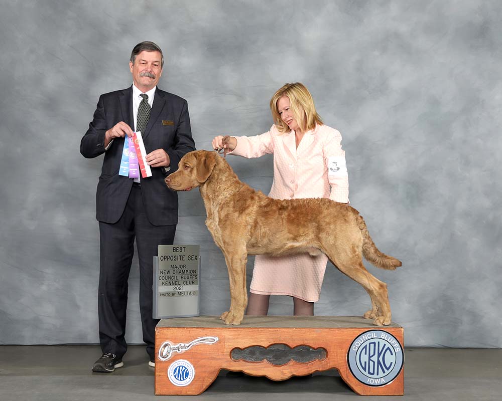 CH Ocotilla's Frozen Assets Of Dalbrian